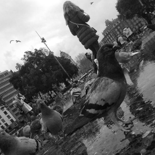 Photo #3901386