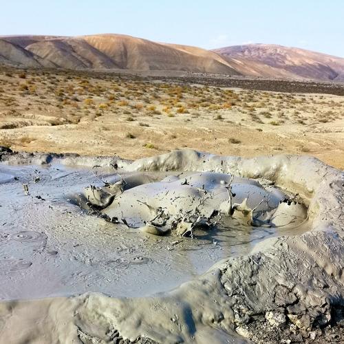 Photo #3901702