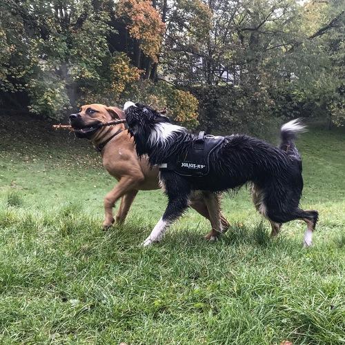Photo #3901956