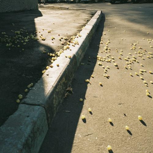 Photo #3902016
