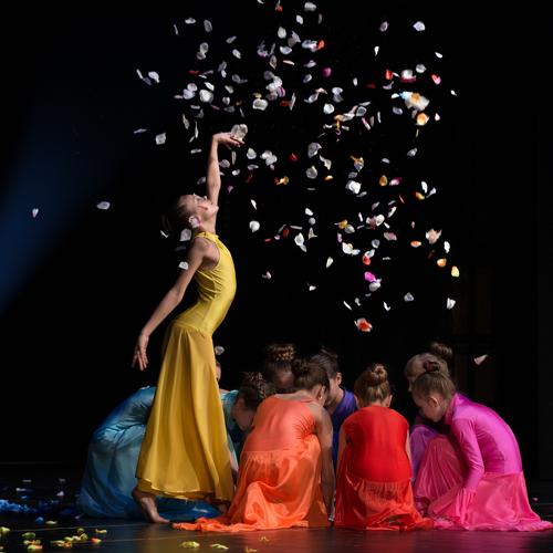 Photo #3902212
