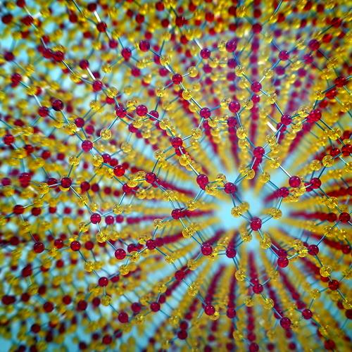 Photo #3902526