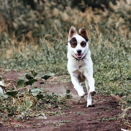 Photo #3902780