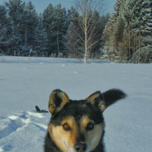Photo #3903260