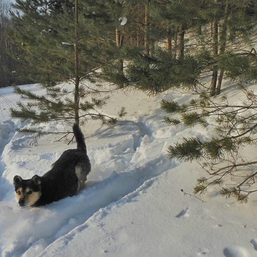 Photo #3903276