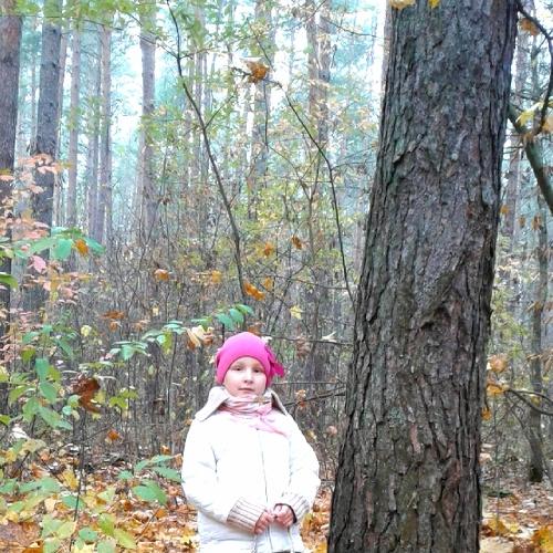 Photo #3903394