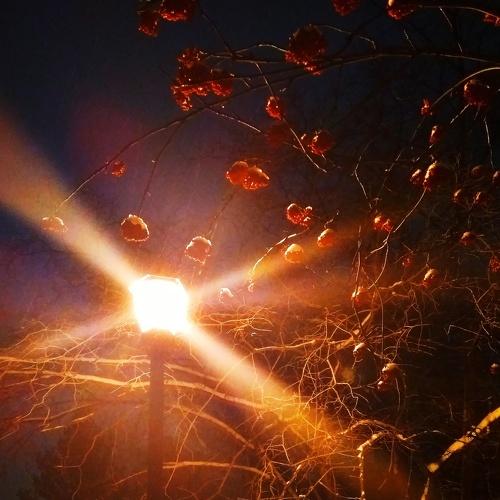 Photo #3903931