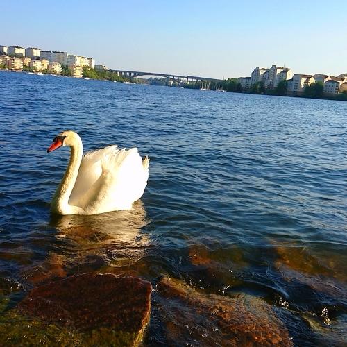 Photo #3904051