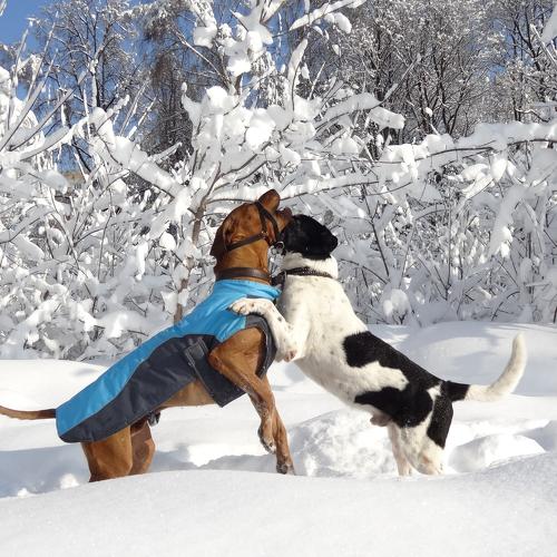 Photo #3904334