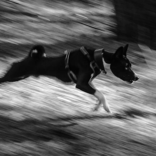 Photo #3904356