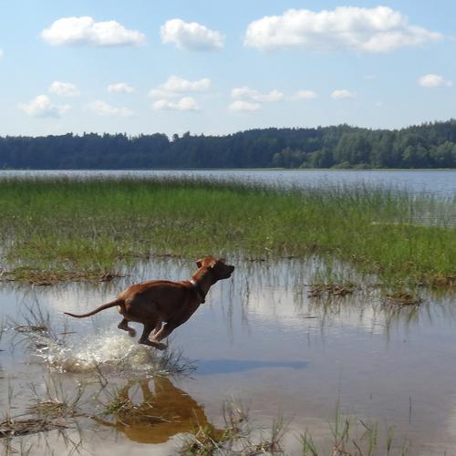 Photo #3904378