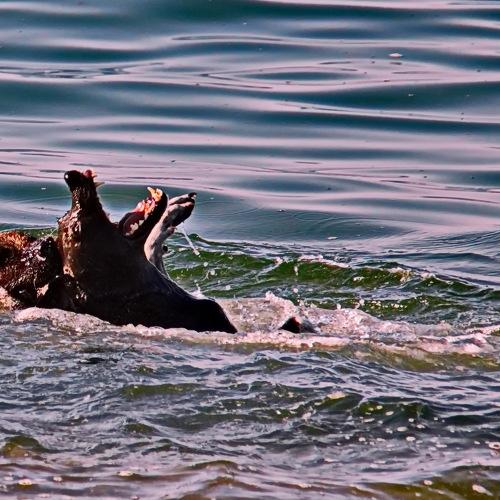 Photo #3905322