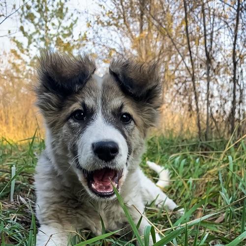Photo #3905589