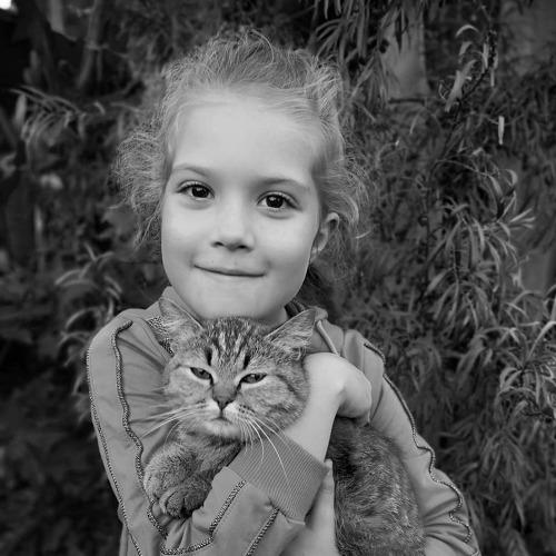 Photo #3905661