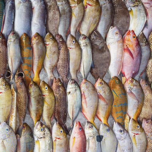 Photo #3905693