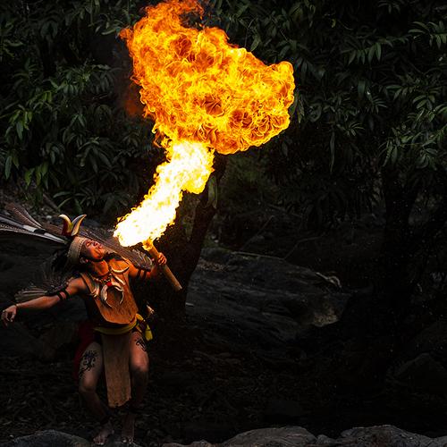 Photo #3906189