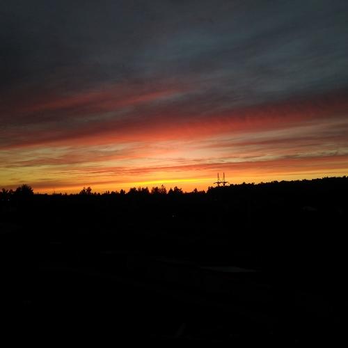 Photo #3906217