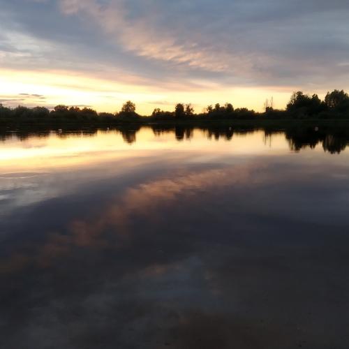 Photo #3906225