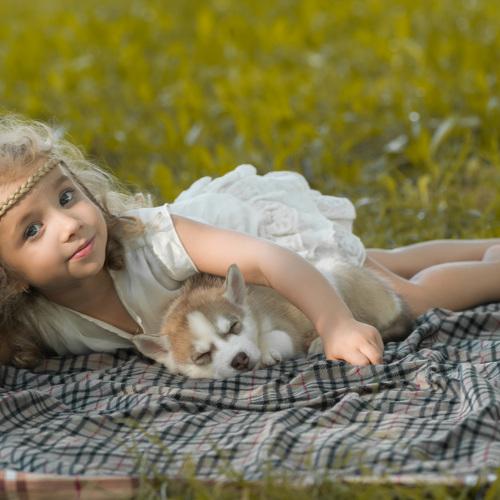 Photo #3906371