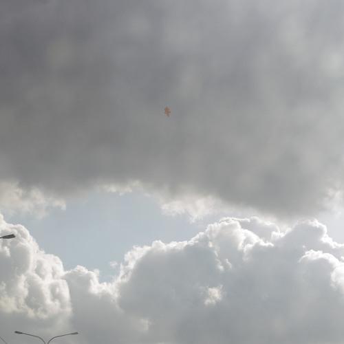 Photo #3906812