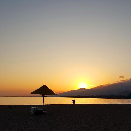 Photo #3906996