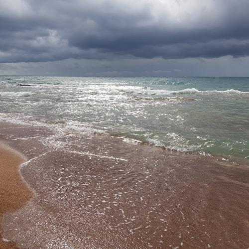 Photo #3907079