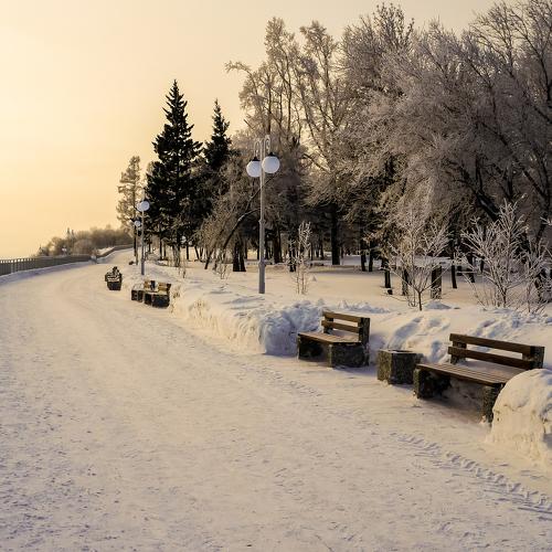 Photo #3907128