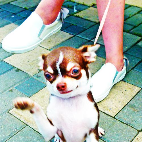 Photo #3907321