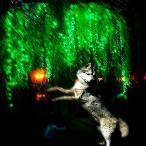 Photo #3907333