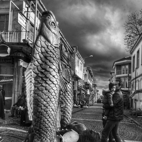 Photo #3907401
