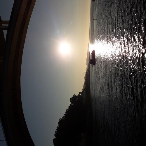 Photo #3907458