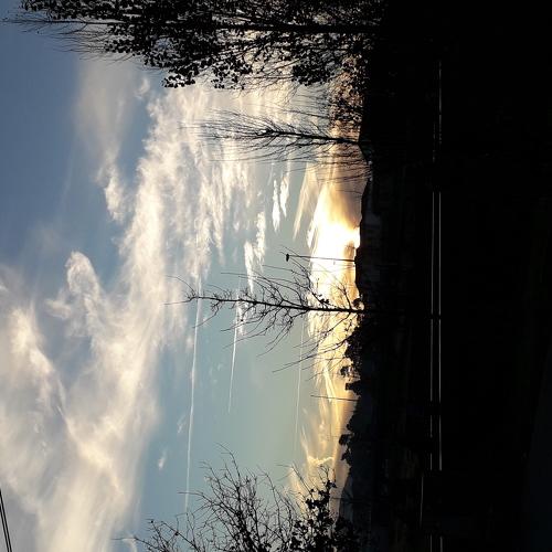 Photo #3907465