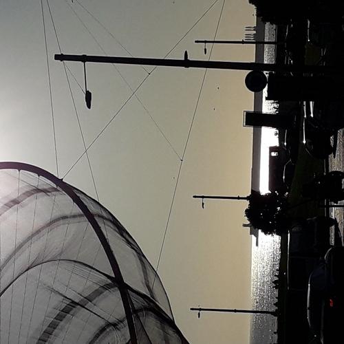 Photo #3907475