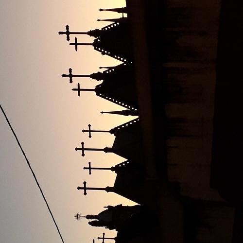 Photo #3907476