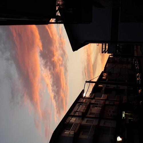 Photo #3907478