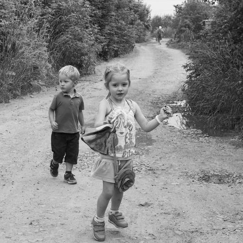 Photo #3908143
