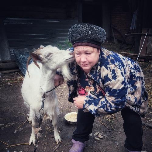 Photo #3908227