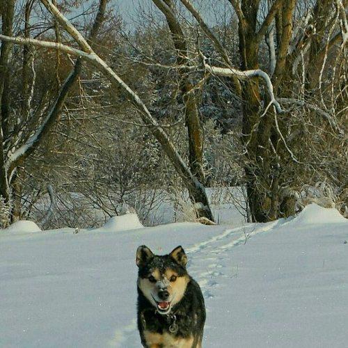 Photo #3908445