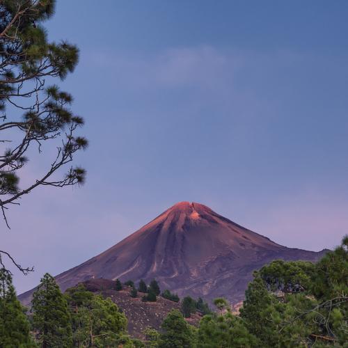 Photo #3908570