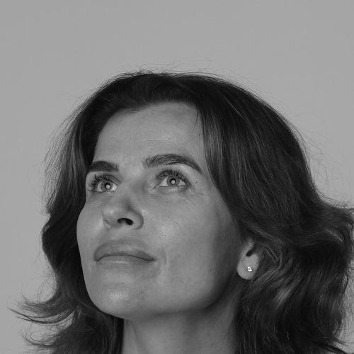 Photo #3908618