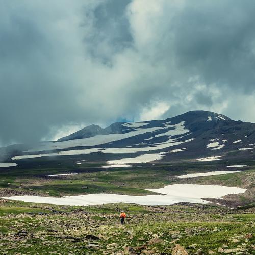 Photo #3908648