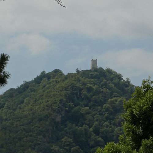 Photo #3908822
