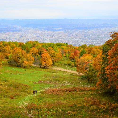 Photo #3908882
