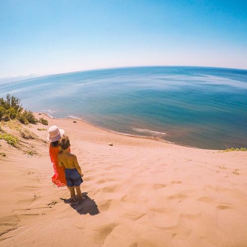 Photo #3908895