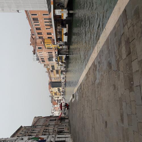 Photo #3909017