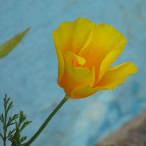 Photo #3909709