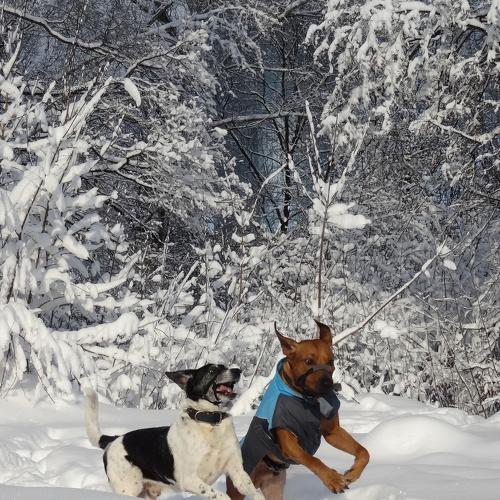 Photo #3910127