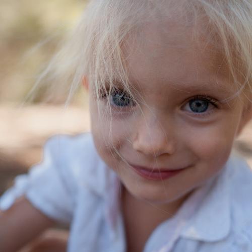 Photo #3910129