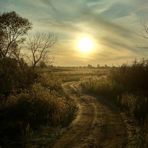 Photo #3910463