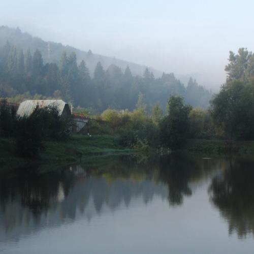 Photo #3910491